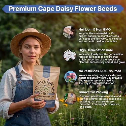 Cape Daisy Flower Seeds Pack 1 oz - Over 2,550 Non-GMO Heirloom Cape Daisy Seeds for Planting, Perennial Flowers in Individual Seed Packet, Seed for Planting Home Garden Indoor & Outdoor Gardening - Image 6