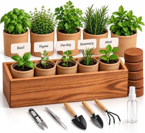 5 Herb Garden Kit, Wooden Box, Windowsill Basil Thyme Parsley Rosemary Mint by LYKO