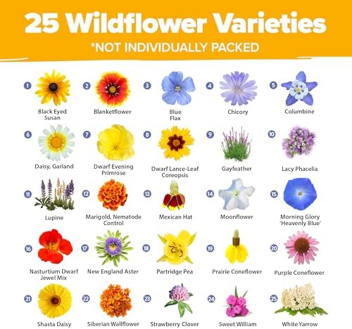 HOME GROWN 19 Wildflower Variety Mix 44,000 Flower Seeds 2 oz - Image 2