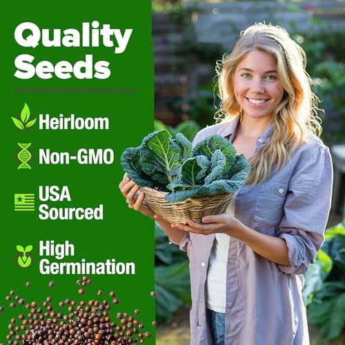 HOME GROWN Georgia Southern Collard Seeds, 600+ Seeds, Brassica oleracea - Image 3