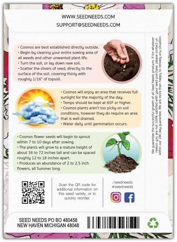 Seed Needs Sensation Cosmos Seeds to Plant Cut Flowers - 2 Packs - Image 2