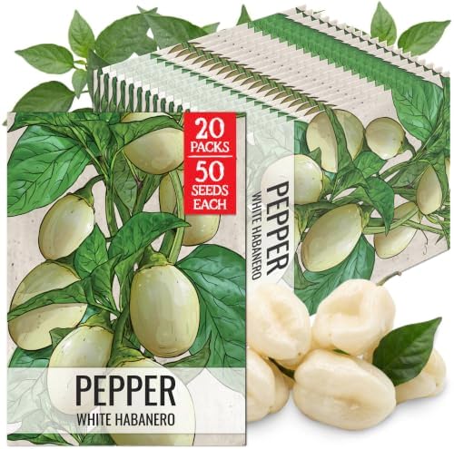 Seed Needs White Habanero Hot Pepper Seeds to Plant Vegetables - 20 Packs by SeedNeeds