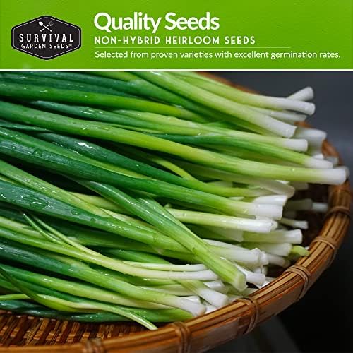 Onion Seeds 4 Variety Collection for Planting - Image 3
