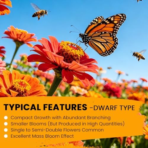 Dwarf Zinnia Seeds for Planting, 5000+ Flowers Seeds, 7 Colors Mix - Image 3