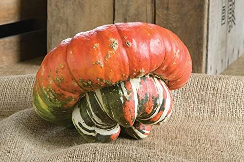 Turk's Turban Pumpkin Seeds - 40+ Count Packet - for 2024 Girauman French Cap Hat Rainbow Winter Squash Gourd Fall Vegetable Seed - Image 4