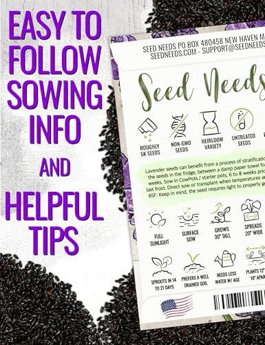 Seed Needs Vera Lavender Seeds to Plant Non-GMO & Heirloom Herbs XL Pack - Image 4