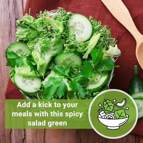 Sow Right Seeds - Garden Cress Seed for Planting Kitchen Herb Garden 3pk - Image 5