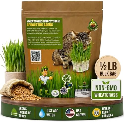 Cat Grass Wheatgrass Seeds, 1/2 lb - Non-GMO, Pet Safe - Image 2