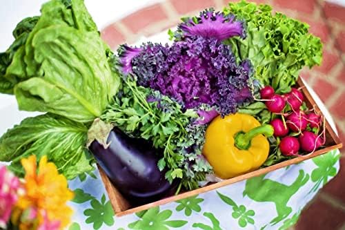 250 Packs Assorted Heirloom Vegetable Seeds 30+ Varieties All Seeds are Heirloom, 100% Non-GMO Thousands of Seeds (250 Vegetable Seed Packets) - Image 5