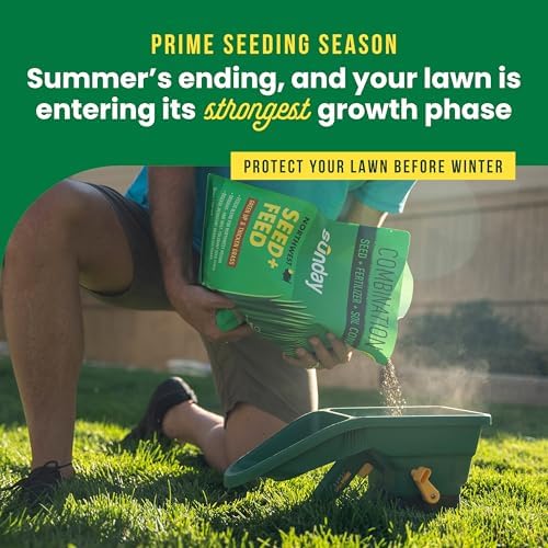 Sunday Northwest Grass Seed & Fertilizer with Tall Fescue - Sun & Shade - Image 2