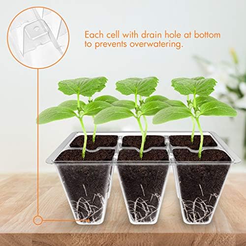 Gardzen 20 Pack Seed Starter Trays with Adjustable Vented Dome 240 Cell Clear - Image 5
