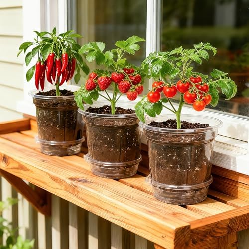 Bluepro Self Watering Pots for Indoor Plants, 6.5 Inch, 12-Pack - Image 7