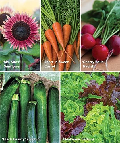 Burpee Garden Sown Flower, Herb & Vegetable 10 Packs of Non-GMO Basil, Lettuce, Cucumber, Radish, Spinach, Kale, Zucchini, Sunflower & Marigold, Seeds for Planting - Image 4
