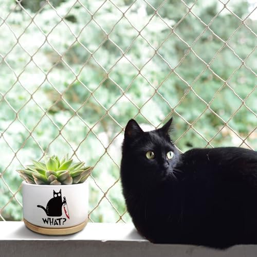 Funny Black Cat Plant Pot for Succulent, Cactus Flower Planter for Indoor Plants, Unique Succulents Pots with Drainage, Cats Owner Gifts, Home Desk Decor Planter Gift for Cat Lover (No Plants) - Image 2