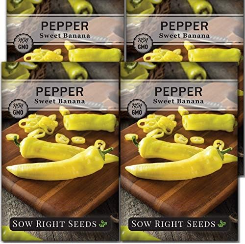 Sow Right Seeds-Sweet Banana Pepper Seed for Planting Long Mild Peppers 4pk by SowRightSeeds