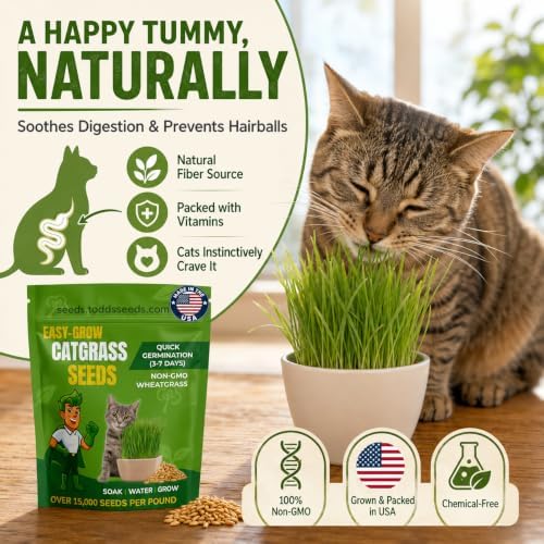 Cat Grass Wheatgrass Seeds, 1/2 lb - Non-GMO, Pet Safe - Image 3