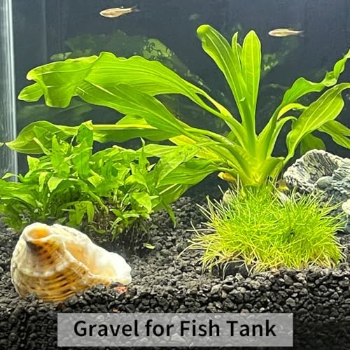FANTIAN 10 lbs Black Pea Gravel for Landscaping, 3/8 Inch Black Stones - Image 6