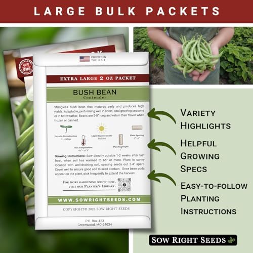 Sow Right Seeds - 110 Contender Bush Bean Seed for Planting Bulk Jumbo Pack - Image 2