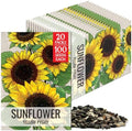 Seed Needs Yellow Pygmy Sunflower Seeds to Plant Cut Flowers - 20 Packs by SeedNeeds