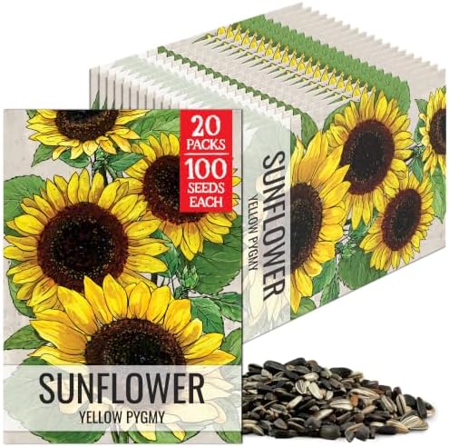 Seed Needs Yellow Pygmy Sunflower Seeds to Plant Cut Flowers - 20 Packs by SeedNeeds