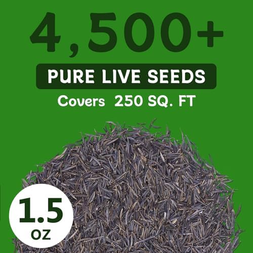 LUOJIBIE Cosmos Seeds, 4,500+ Cosmos Flower Seeds for 2026, Wildflower Seeds for Planting Outdoor Garden, Crazy Blend Mix Color, No Filler, 1.5 Oz Packet, Easy to Grow - Image 4
