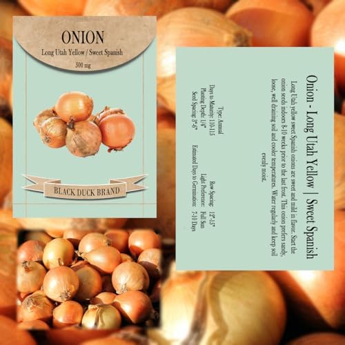Root Vegetable Seed Set - 7 Varieties of Non-GMO Heirloom Premium Seeds for Planting - Onions, Carrot, Radish, Beet, and Turnip - Image 3