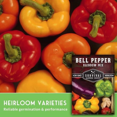 Bell Pepper Seeds for Planting - Rainbow Mix Sweet Peppers (1 Pack) - Image 4