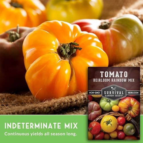 Heirloom Rainbow Mix Tomato Seeds for Planting - 1 Pack - Image 5