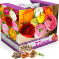 25 Mixed Ranunculus Bulbs for Planting, Peony Perennial Flower by AVERAR