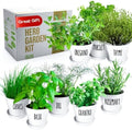 Herb Garden Starter Kit - 8 USA Culinary Herbs by ZESTIGREENS