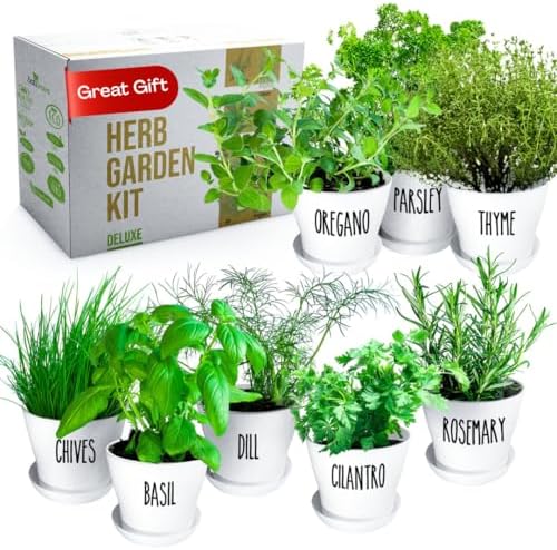 Herb Garden Starter Kit - 8 USA Culinary Herbs by ZESTIGREENS