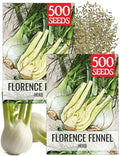 Seed Needs Florence Fennel Seeds to Plant an Herb Garden - 2 Packs by SeedNeeds
