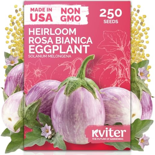 250 Rosa Bianca Heirloom Eggplant Seeds for Planting, Solanum Melongena by KVITER