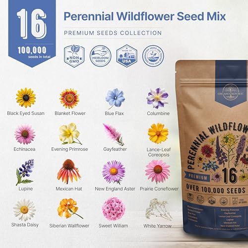 Organo Republic 16 Perennial Wildflower Seeds Mix for Indoor & Outdoors. 100,000+ Non-GMO, Heirloom Wildflower Garden Seeds, 4oz Packet for Growing Wild Flowers to Attract Bees, Butterflies & Birds - Image 3