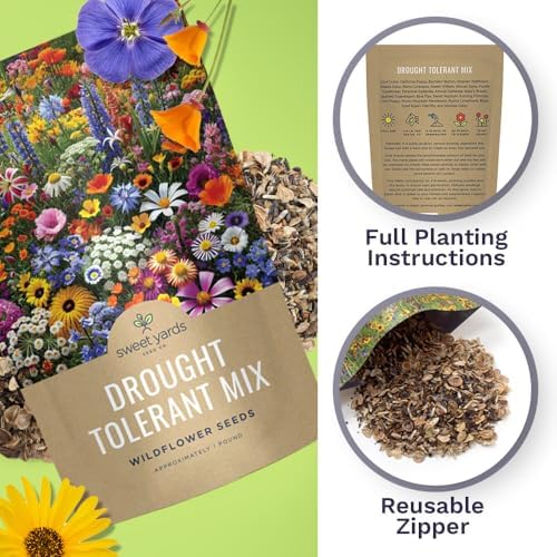 Drought Tolerant Wildflowers Mix – Bulk 1 Pound Bag – Over 120,000 Open Pollinated Non-GMO Seeds – 21 Different Dryland Species - Image 5