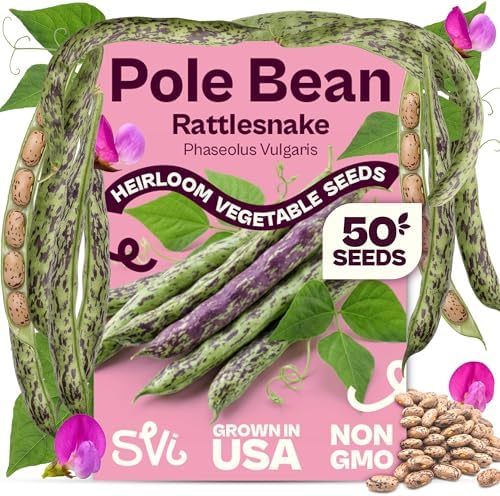 SVI 50 Rattlesnake Beans Seeds (Phaseolus vulgaris) – String Green Bean Seed Packets, Heavy Producing Green Beans – Non GMO Heirloom Vegetable Seeds for Trellis Home Garden & Outdoor Vegetable Garden by SVI