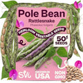 SVI 50 Rattlesnake Beans Seeds (Phaseolus vulgaris) – String Green Bean Seed Packets, Heavy Producing Green Beans – Non GMO Heirloom Vegetable Seeds for Trellis Home Garden & Outdoor Vegetable Garden by SVI