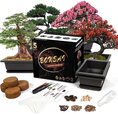 Bonsai Starter Kit, Growing Set Including Complete Gardening Tools with A Gift Box, Gifts for Women by StartYourSeedSuccessStory