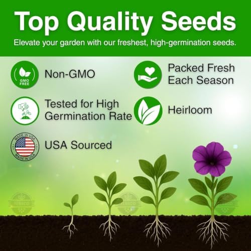 Petunia Seeds for Planting, 5500+ Seeds, Petunia Grandiflora - Image 3