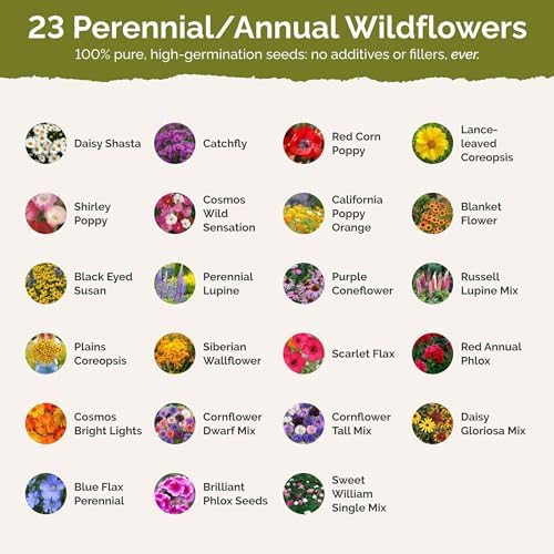Eden Brothers Maryland Wildflower Mixed Seeds for Planting, 1 oz - Image 3