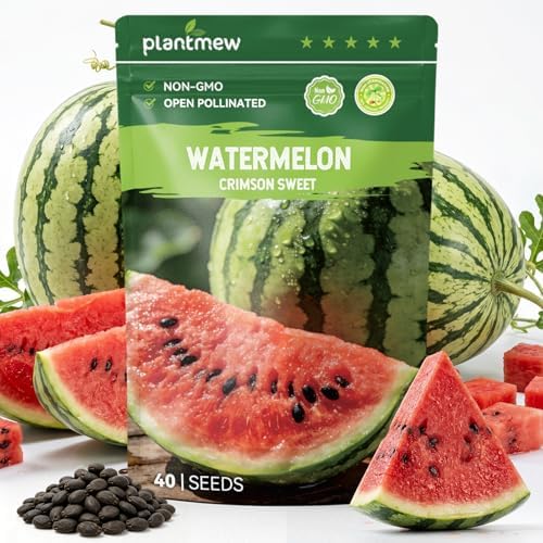 40 Heirloom Crimson Sweet Watermelon Seeds for Planting – Large Sweet Melon, High Germination, Fast-Growing, Ideal for Home Garden & Field by PLANTMEW