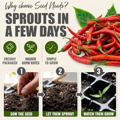 Seed Needs Thin Cayenne Pepper Seeds to Plant Vegetables - 20 Packs - Image 5