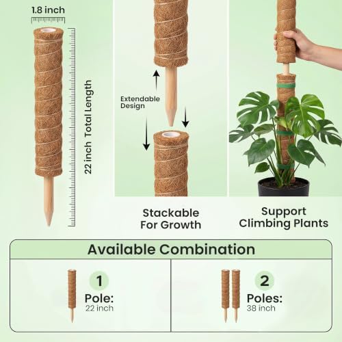 2 Pack 22" Moss Pole Monstera Plant Support - Stackable up to 38" - Image 3