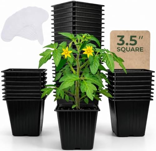 CARPATHEN Nursery Pots for Plants with Drainage Holes, 3.5 inch, 60 Pack by Carpathen-ExpertIrrigationsforNourishingGardens
