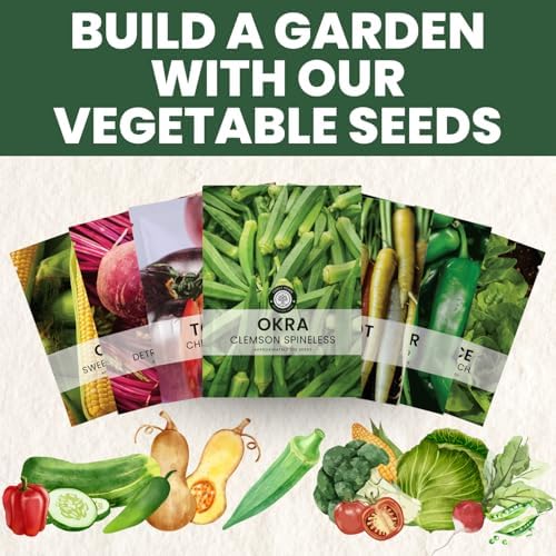 Okra Clemson Spineless – 225 Premium Seeds for Planting – High-Yield, Tender Heirloom Pods for the 2026 Season – 15 Gram Pouch - Image 6