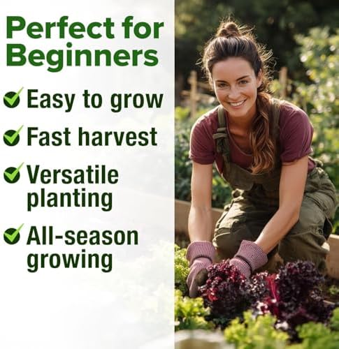 HOME GROWN 8 Lettuce Variety Mix 9000+ Vegetable Seeds Lactuca Sativa - Image 7
