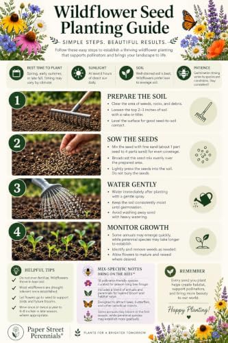 Wildflower Seeds for Bees & Pollinators – Bring On the Bees™ – 18-Species Mix with Coneflower, Blue Flax, Bergamot & Coreopsis – 4 oz Covers 750 Sq Ft – Paper Street Perennials® - Image 4