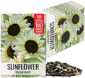 Seed Needs Italian White Sunflower Seeds to Plant Cut Flowers - 10 Packs by SeedNeeds
