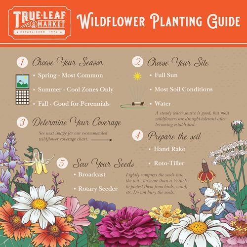 Mountain Valley Seed Co Pacific Northwest Wildflower Seeds - 1 Lb - Image 6