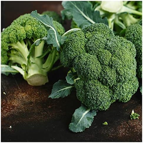1 Oz Organic Waltham Broccoli Seeds - Gold Vault Packet - Image 2